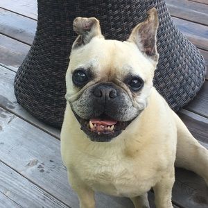 Meet your Posher, Mihaela